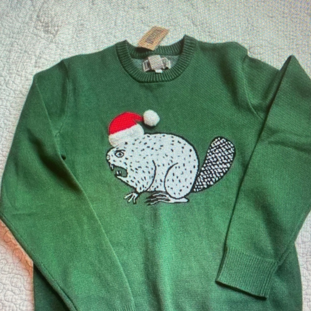 Duluth Trading Co Green Crewneck Sweater with Holiday Beaver
